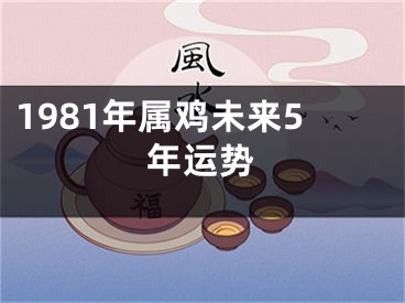1981年属鸡未来5年运势