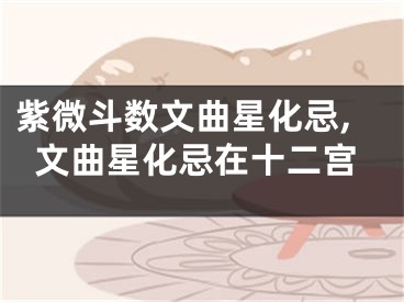 紫微斗数文曲星化忌,文曲星化忌在十二宫