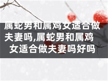 属蛇男和属鸡女适合做夫妻吗,属蛇男和属鸡女适合做夫妻吗好吗