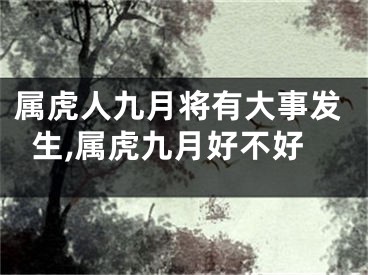 属虎人九月将有大事发生,属虎九月好不好