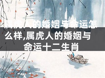 属虎人的婚姻与命运怎么样,属虎人的婚姻与命运十二生肖