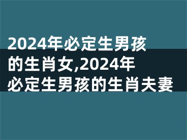 2024年必定生男孩的生肖女,2024年必定生男孩的生肖夫妻