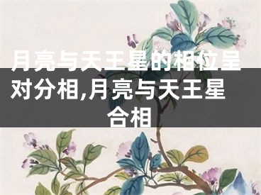月亮与天王星的相位呈对分相,月亮与天王星合相