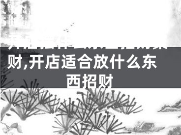 开店摆什么东西招财聚财,开店适合放什么东西招财