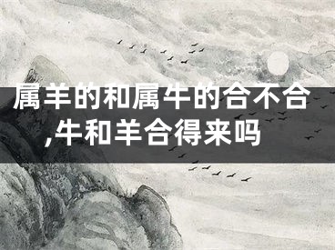 属羊的和属牛的合不合,牛和羊合得来吗