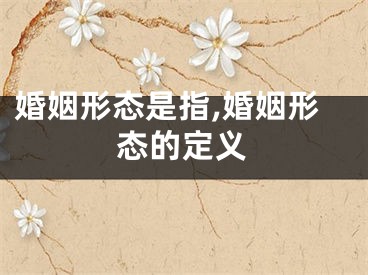 婚姻形态是指,婚姻形态的定义