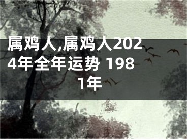 属鸡人,属鸡人2024年全年运势 1981年