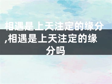 相遇是上天注定的缘分,相遇是上天注定的缘分吗
