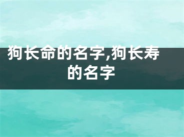狗长命的名字,狗长寿的名字