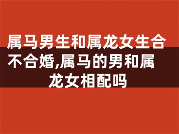属马男生和属龙女生合不合婚,属马的男和属龙女相配吗