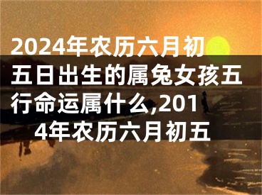 2024年农历六月初五日出生的属兔女孩五行命运属什么,2014年农历六月初五