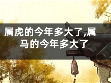 属虎的今年多大了,属马的今年多大了