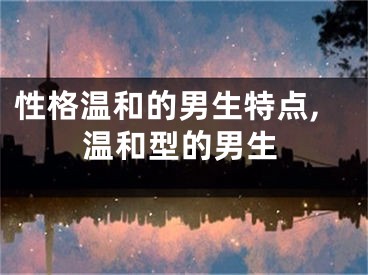 性格温和的男生特点,温和型的男生