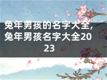 兔年男孩的名字大全,兔年男孩名字大全2023