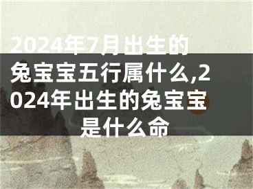 2024年7月出生的兔宝宝五行属什么,2024年出生的兔宝宝是什么命