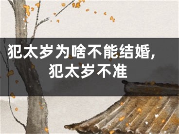 犯太岁为啥不能结婚,犯太岁不准