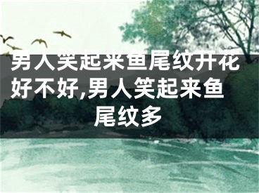 男人笑起来鱼尾纹开花好不好,男人笑起来鱼尾纹多