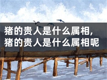 猪的贵人是什么属相,猪的贵人是什么属相呢