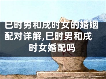 巳时男和戌时女的婚姻配对详解,巳时男和戌时女婚配吗