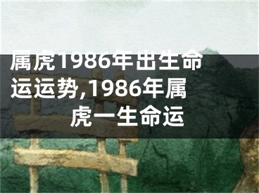 属虎1986年出生命运运势,1986年属虎一生命运