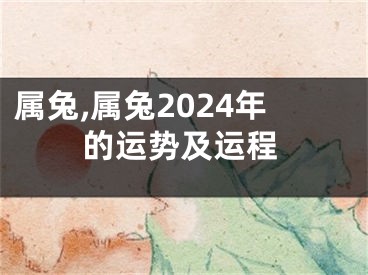 属兔,属兔2024年的运势及运程