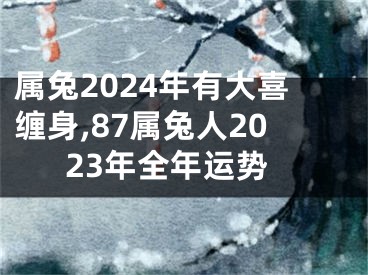 属兔2024年有大喜缠身,87属兔人2023年全年运势