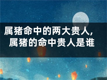 属猪命中的两大贵人,属猪的命中贵人是谁