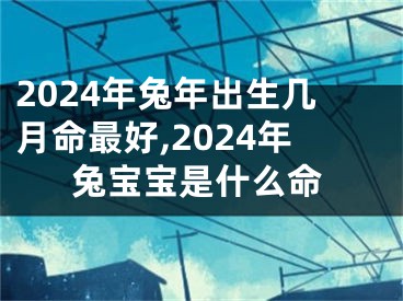 2024年兔年出生几月命最好,2024年兔宝宝是什么命