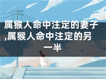 属猴人命中注定的妻子,属猴人命中注定的另一半