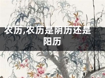 农历,农历是阴历还是阳历