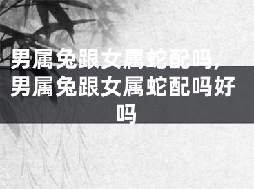 男属兔跟女属蛇配吗,男属兔跟女属蛇配吗好吗