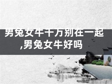 男兔女牛千万别在一起,男兔女牛好吗