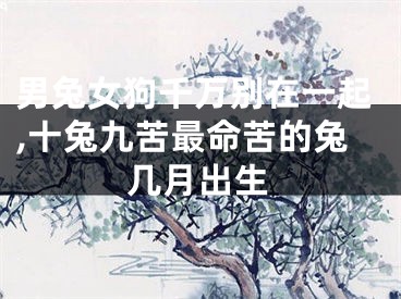 男兔女狗千万别在一起,十兔九苦最命苦的兔几月出生