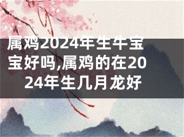 属鸡2024年生牛宝宝好吗,属鸡的在2024年生几月龙好