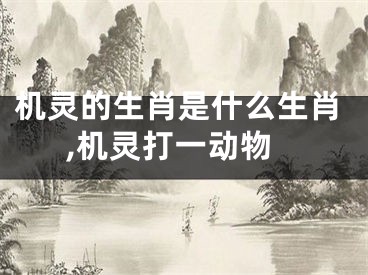 机灵的生肖是什么生肖,机灵打一动物