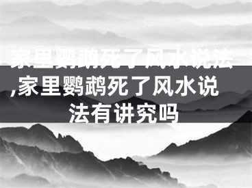 家里鹦鹉死了风水说法,家里鹦鹉死了风水说法有讲究吗