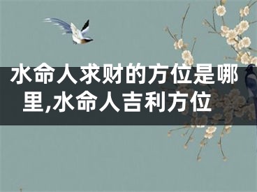 水命人求财的方位是哪里,水命人吉利方位