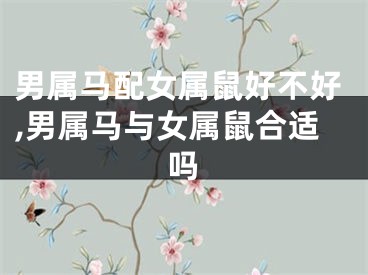 男属马配女属鼠好不好,男属马与女属鼠合适吗