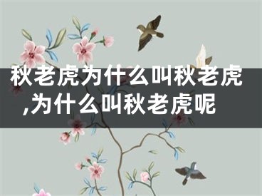 秋老虎为什么叫秋老虎,为什么叫秋老虎呢