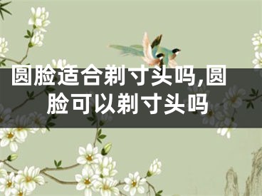 圆脸适合剃寸头吗,圆脸可以剃寸头吗