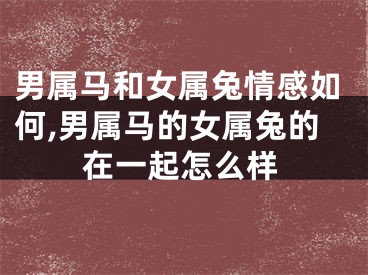 男属马和女属兔情感如何,男属马的女属兔的在一起怎么样