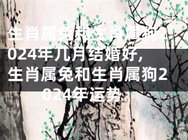 生肖属兔和生肖属狗2024年几月结婚好,生肖属兔和生肖属狗2024年运势