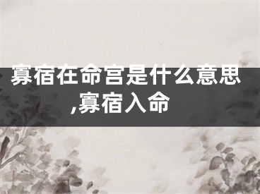 寡宿在命宫是什么意思,寡宿入命
