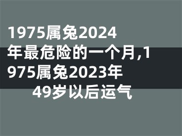 1975属兔2024年最危险的一个月,1975属兔2023年49岁以后运气