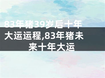83年猪39岁后十年大运运程,83年猪未来十年大运