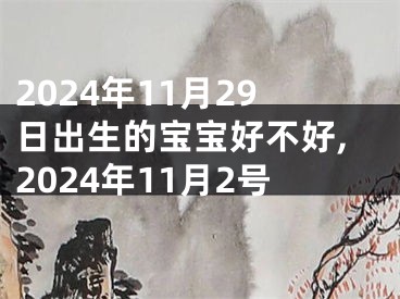 2024年11月29日出生的宝宝好不好,2024年11月2号