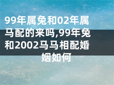 99年属兔和02年属马配的来吗,99年兔和2002马马相配婚姻如何
