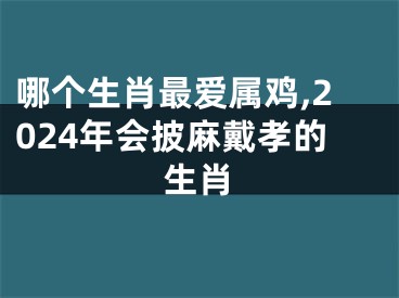 哪个生肖最爱属鸡,2024年会披麻戴孝的生肖