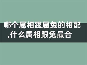 哪个属相跟属兔的相配,什么属相跟兔最合