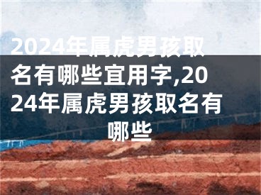 2024年属虎男孩取名有哪些宜用字,2024年属虎男孩取名有哪些